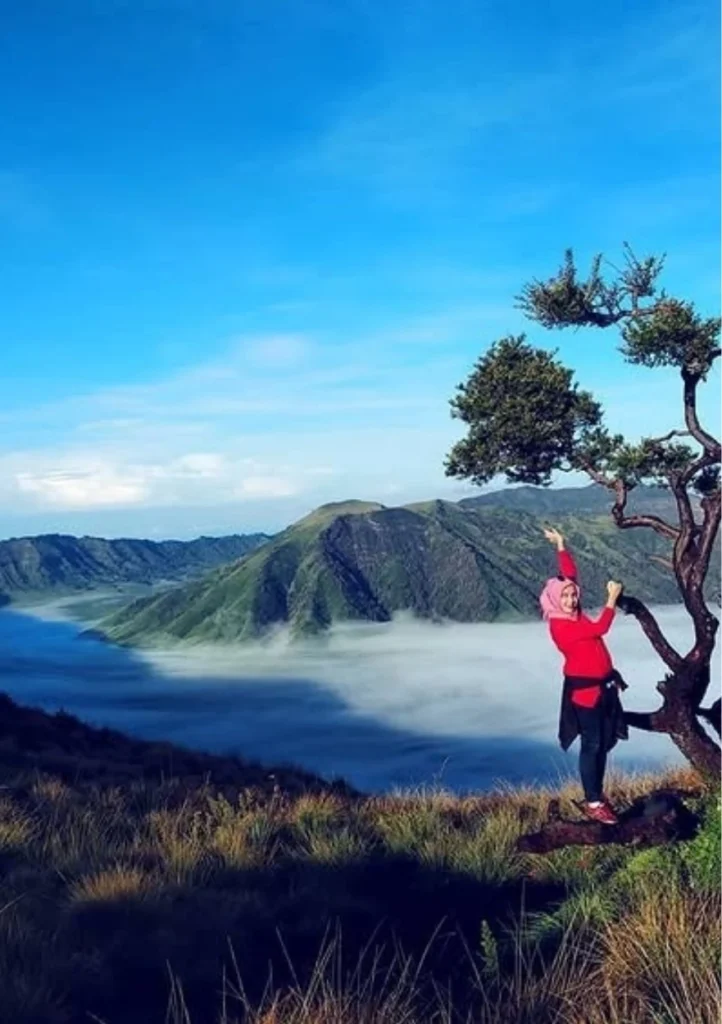 DMB Indonesia Tour DMB Indonesia Tour: Luxury Indonesia Tour & Bespoke Travel Home DMB INDONESIA TOUR